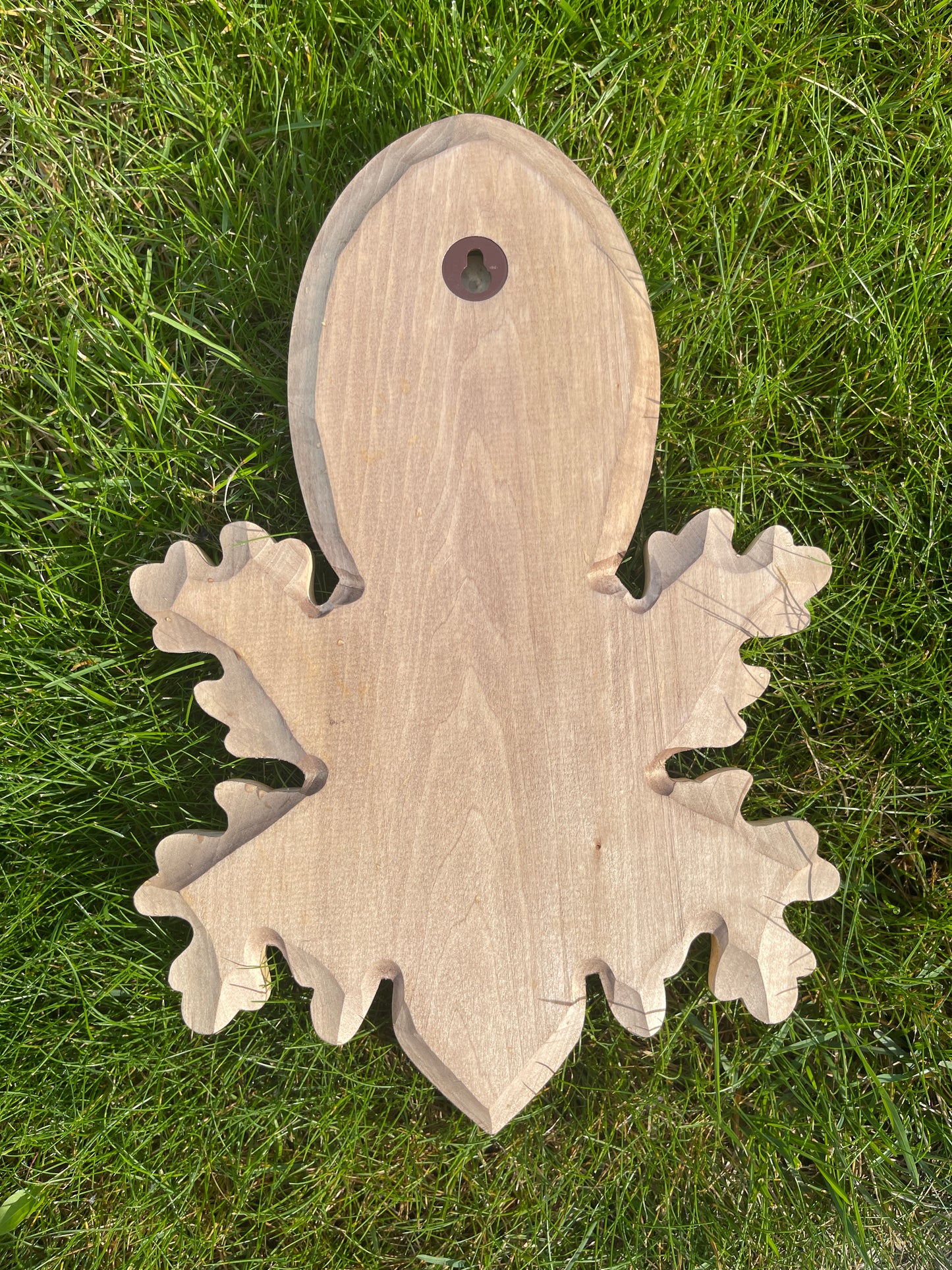Personalized carved trophy shield for deer, roebuck, antlers, individual wooden hunting trophy, hunting gift