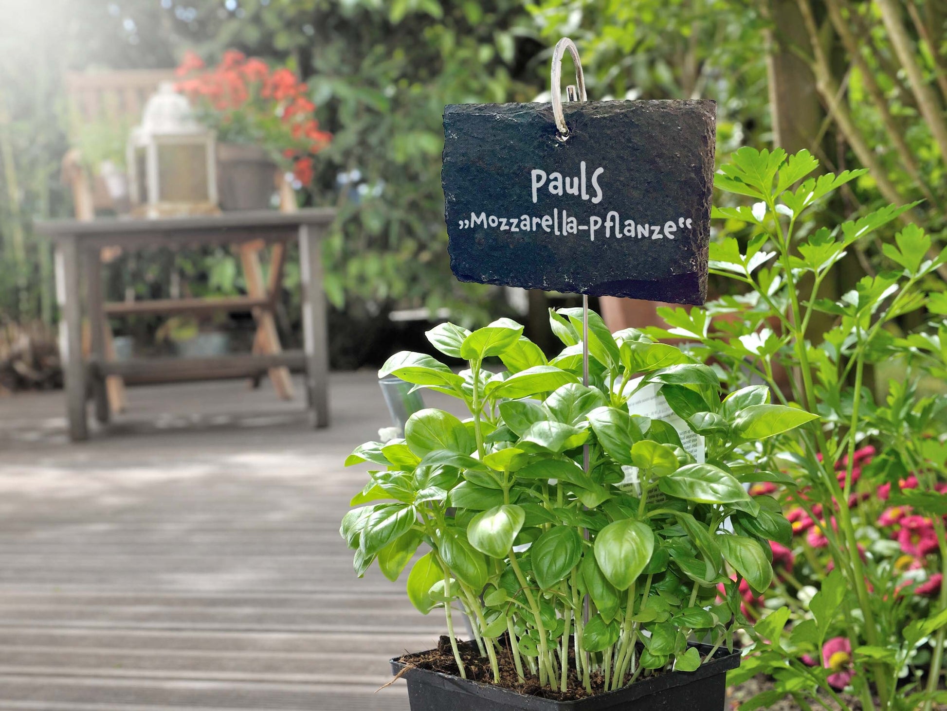 Personalisierte Schiefer Gartenschilder zur Geburt, Geburtsbaum, Hochzeit, Lebensbaum, Pflanzenschilder, Schiefertafeln, Baum des Lebens