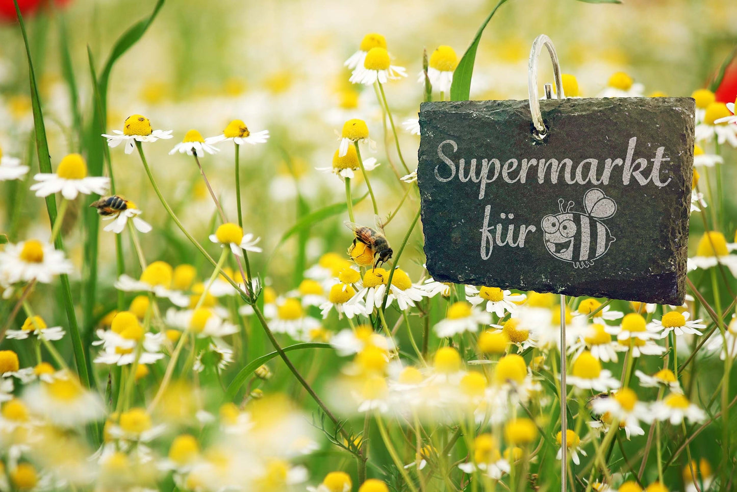 Personalisierte Schiefer Gartenschilder zur Geburt, Geburtsbaum, Hochzeit, Lebensbaum, Pflanzenschilder, Schiefertafeln, Baum des Lebens