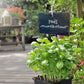 Personalisierte Schiefer-Gartenschilder mit Erdspieß – Kräuterstecker & Bienengarten