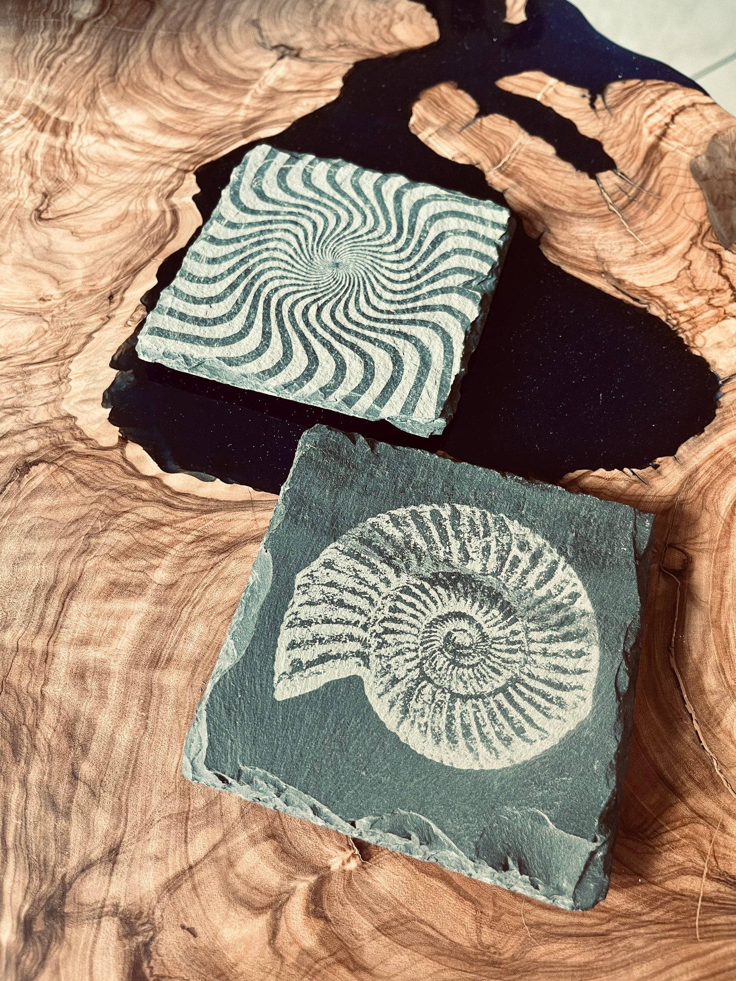 Schiefer-Untersetzer mit Gravur – Ammonit & Optische Täuschung (10x10 cm)