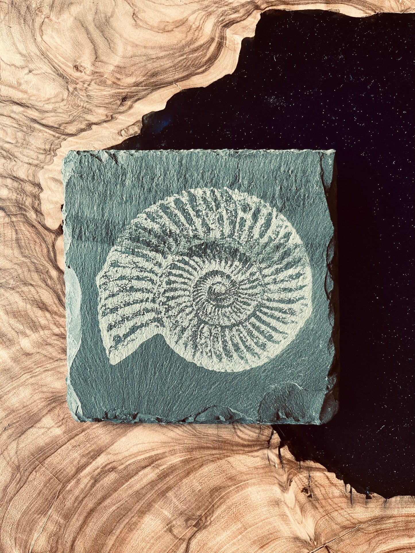 Schiefer-Untersetzer mit Gravur – Ammonit & Optische Täuschung (10x10 cm)