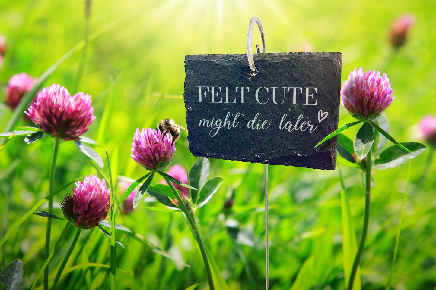 Schiefer Pflanzenstecker „Felt cute might die later“ – Witziges Schild für Zimmerpflanzen