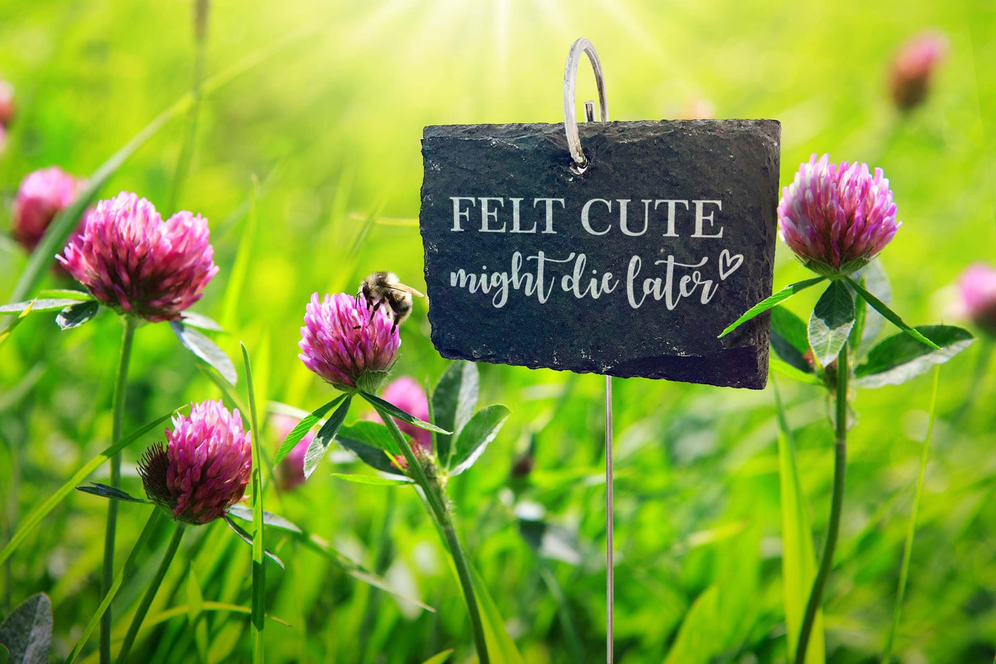 Schiefer Pflanzenstecker „Felt cute might die later“ – Witziges Schild für Zimmerpflanzen