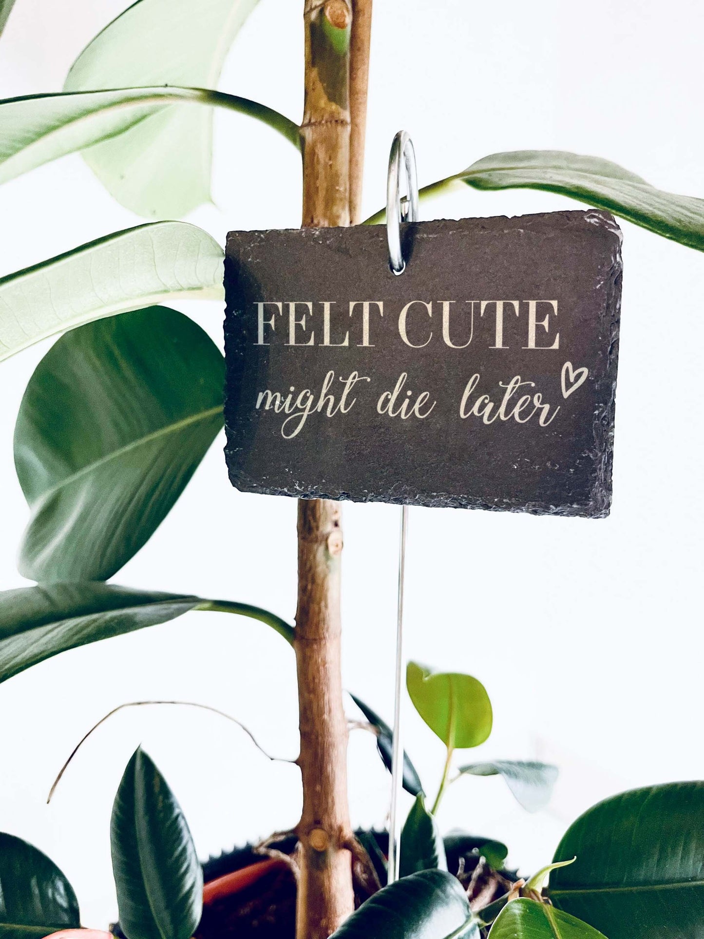 Schiefer Pflanzenstecker „Felt cute might die later“ – Witziges Schild für Zimmerpflanzen