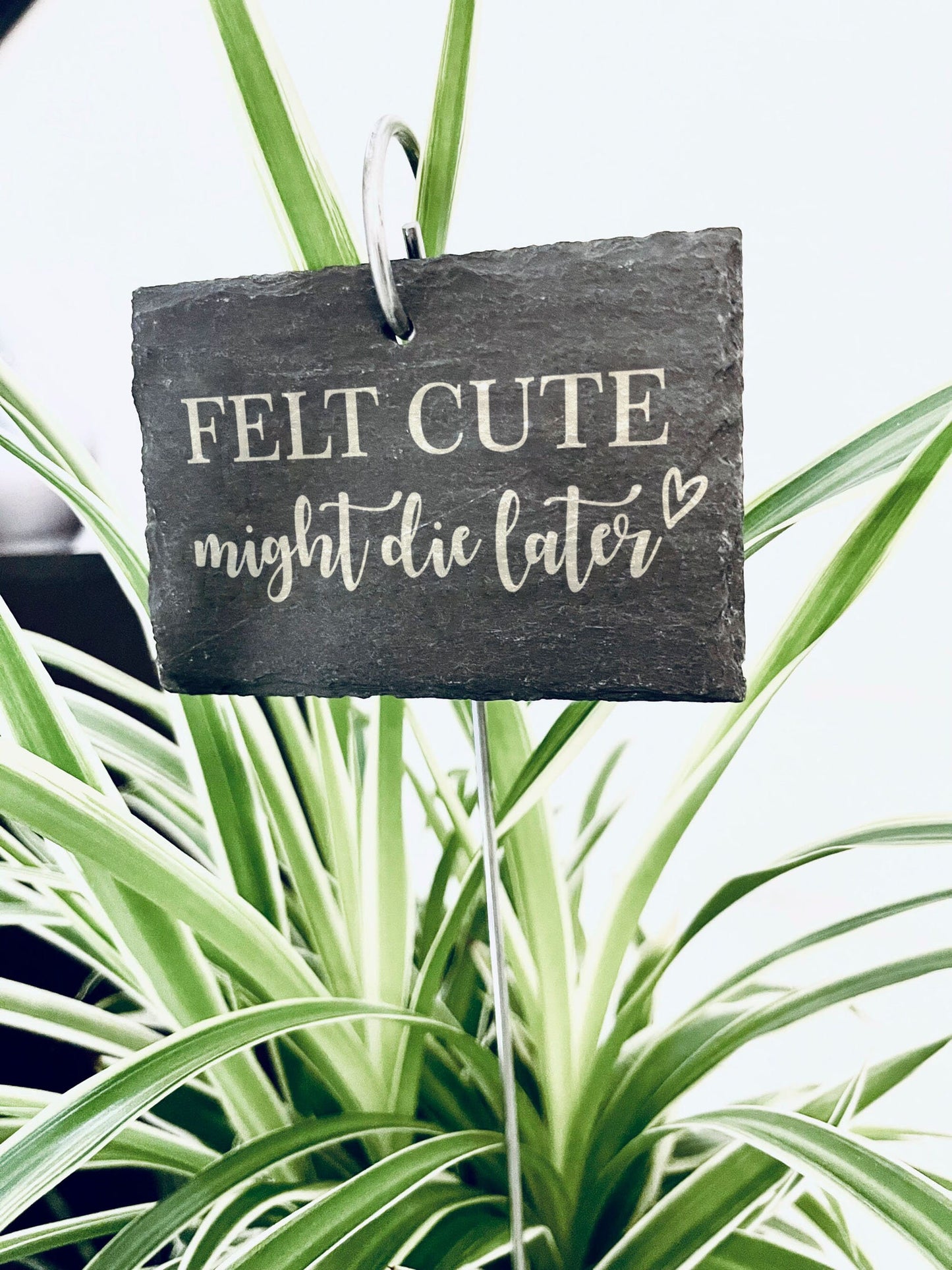 Schiefer Pflanzenstecker „Felt cute might die later“ – Witziges Schild für Zimmerpflanzen